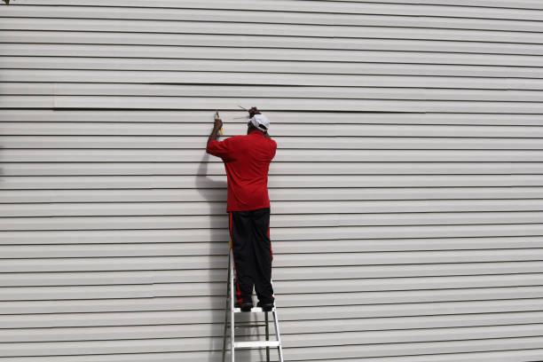 Best Siding Painting and Refinishing  in Syracuse, UT